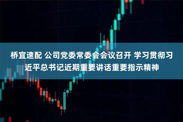桥宜速配 公司党委常委会会议召开 学习贯彻习近平总书记近期重要讲话重要指示精神