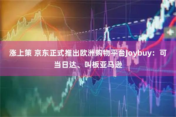 涨上策 京东正式推出欧洲购物平台Joybuy：可当日达、叫板亚马逊
