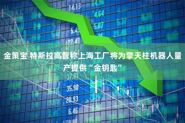 金策宝 特斯拉高管称上海工厂将为擎天柱机器人量产提供“金钥匙”