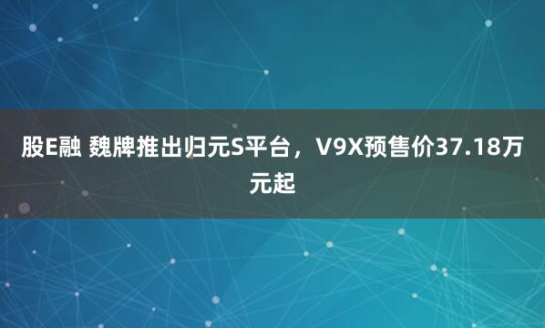 股E融 魏牌推出归元S平台，V9X预售价37.18万元起