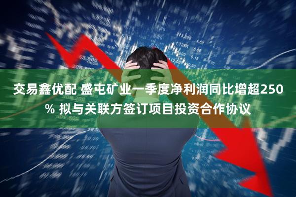 交易鑫优配 盛屯矿业一季度净利润同比增超250% 拟与关联方签订项目投资合作协议