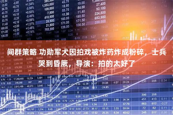 间群策略 功勋军犬因拍戏被炸药炸成粉碎，士兵哭到昏厥，导演：拍的太好了