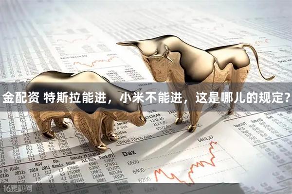 金配资 特斯拉能进，小米不能进，这是哪儿的规定？
