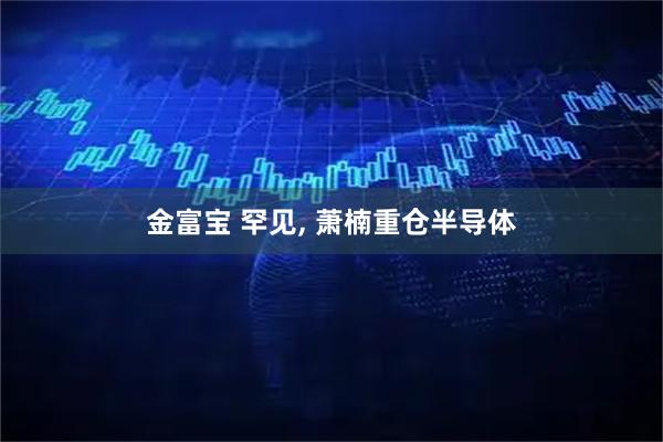 金富宝 罕见, 萧楠重仓半导体