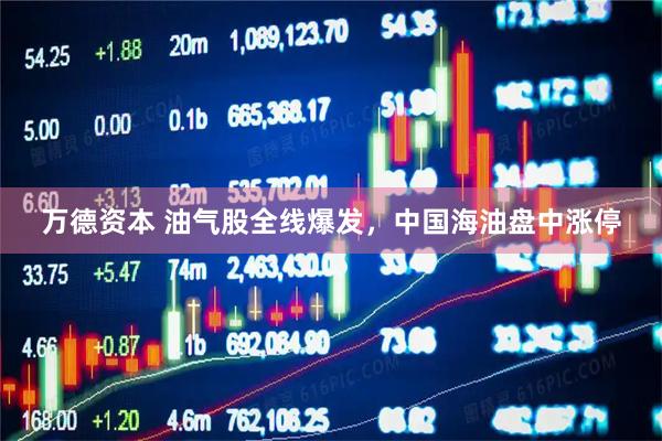 万德资本 油气股全线爆发，中国海油盘中涨停