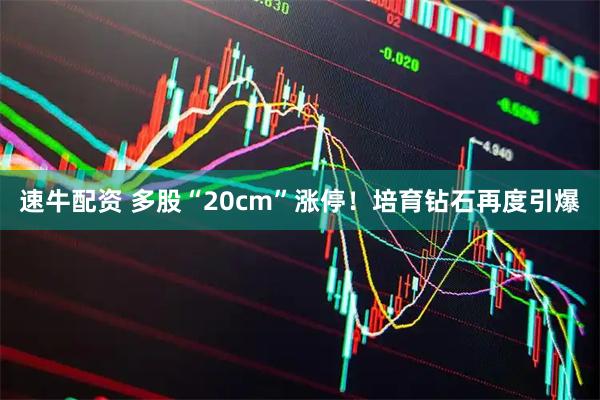 速牛配资 多股“20cm”涨停！培育钻石再度引爆