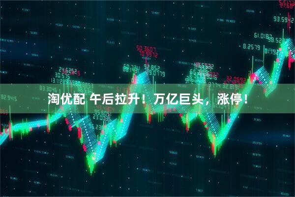 淘优配 午后拉升！万亿巨头，涨停！